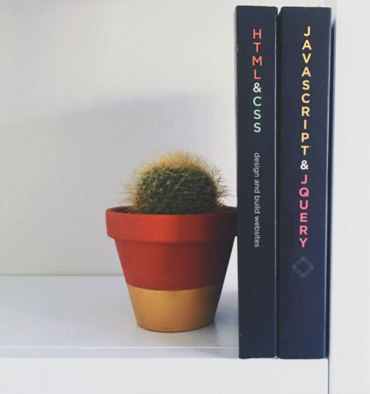 html/css & js book